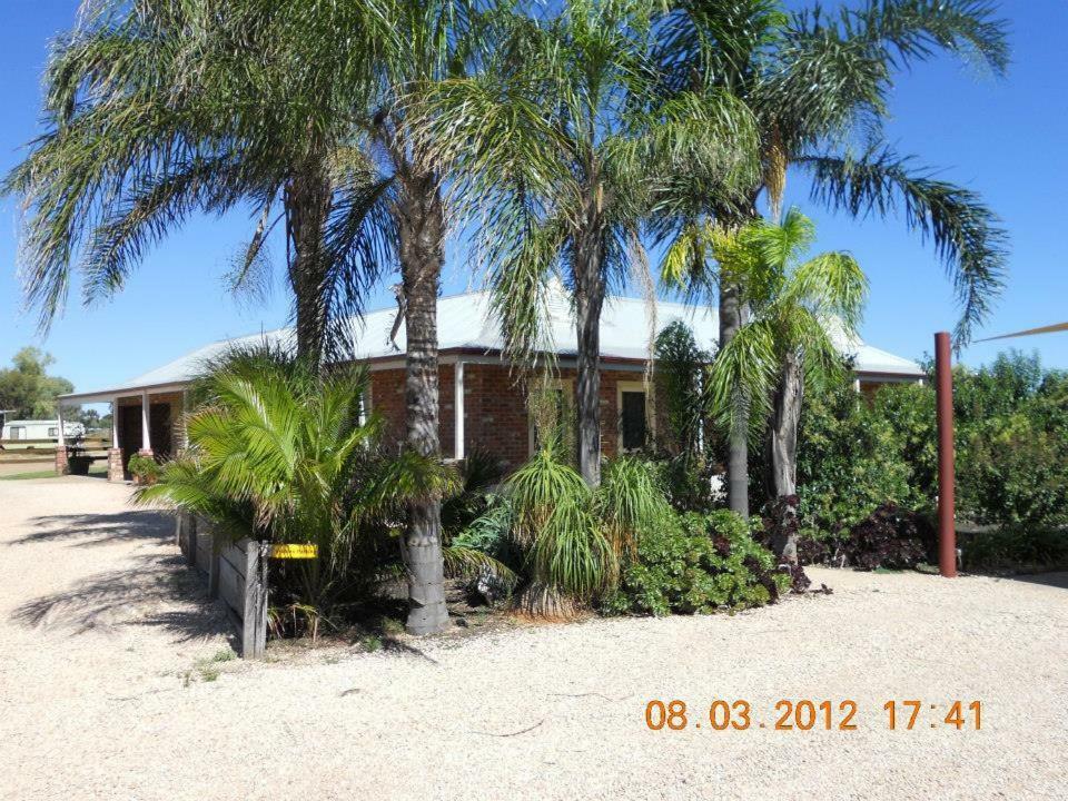 Cabarita Lodge المظهر الخارجي الصورة